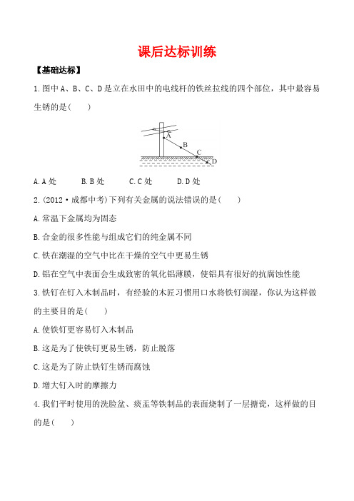 9.3钢铁的锈蚀与防护(