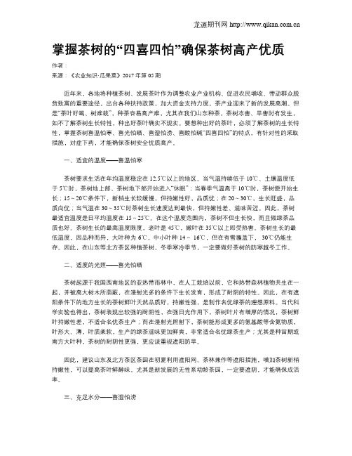 掌握茶树的“四喜四怕”确保茶树高产优质