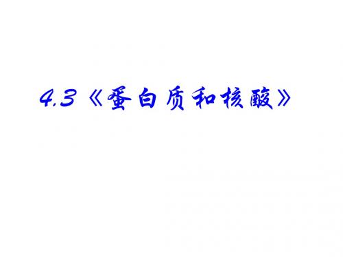 化学：4.3《蛋白质和核酸》课件(新人教版选修5)
