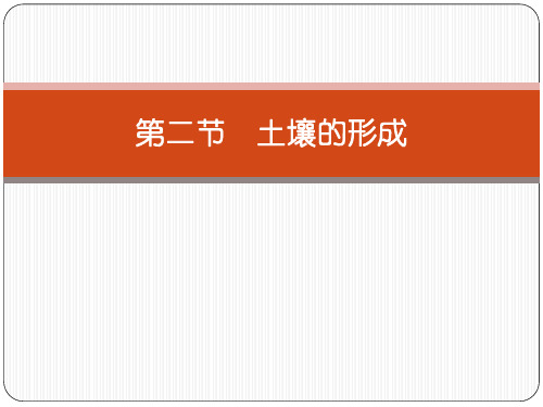 《土壤的形成》地球上的植被与土壤精美版课件
