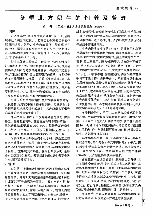 冬季北方奶牛的饲养及管理