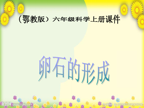 (鄂教版)版小学科学六上《卵石的形成》PPT课件(同课异构)