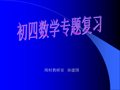 初四数学专题复习