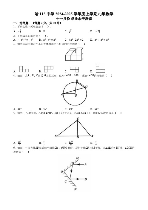 黑龙江省哈尔滨第一一三中学2024-2025学年九年级上学期11月期中考试数学试题(含答案)