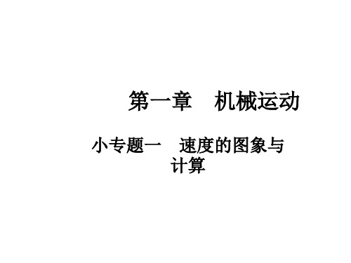 第1章  小专题1 速度的图象与计算—2020秋人教版八年级物理上册作业课件(共21张PPT)
