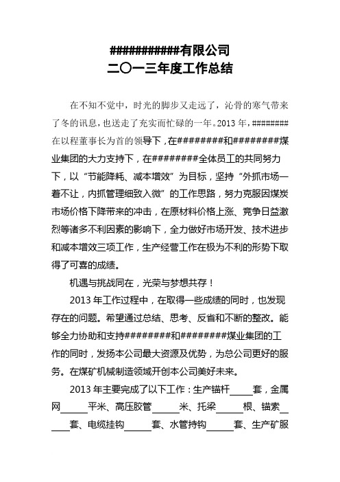 2013年有限公司总结范文