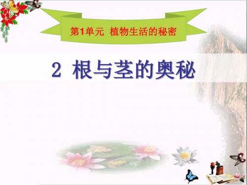 《根与径的奥秘》植物生活的秘密 精品课件