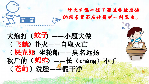 《昆虫记》：科普作品的阅读课件(40张PPT)