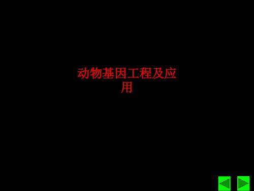 [课件]动物基因工程及应用PPT