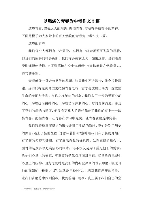 以燃烧的青春为中考作文5篇