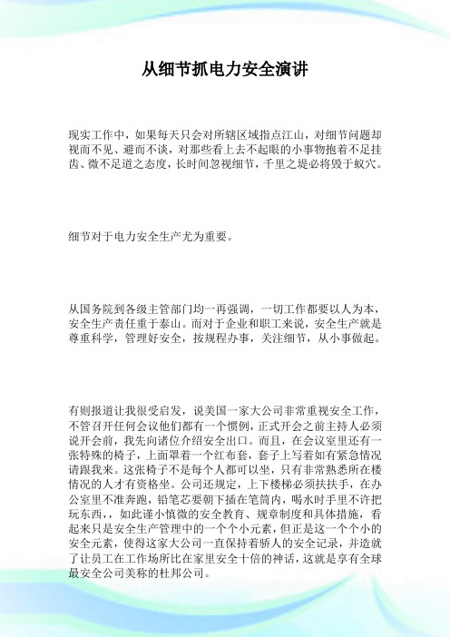 从细节抓电力安全演讲.doc