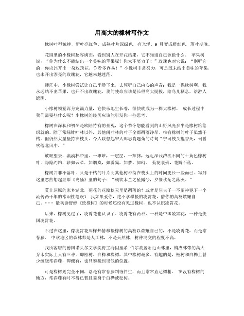 用高大的橡树写作文