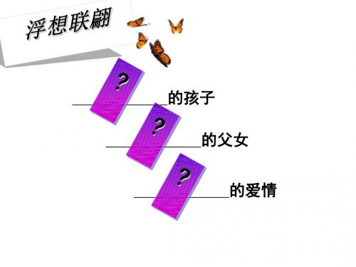 碰撞与冲突 PPT课件 13 人民版