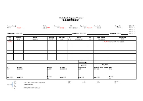 现金银行付款凭证--SND