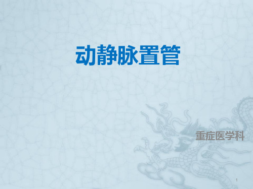 动静脉置管讲解PPT课件