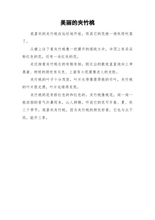 美丽的夹竹桃_小学作文