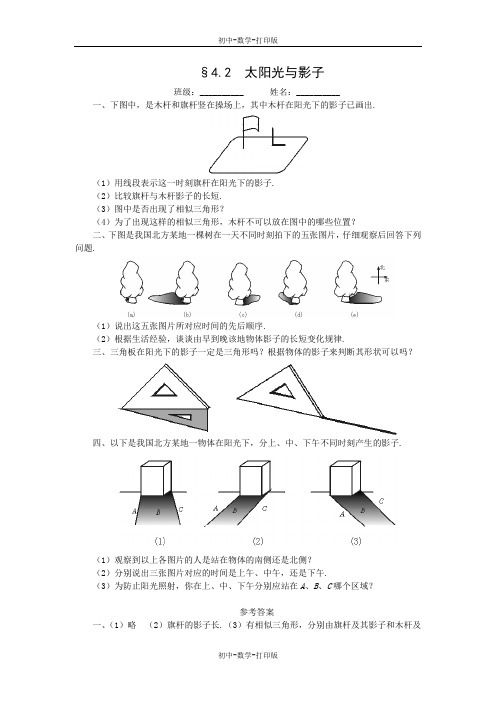 北师大版-数学-九年级上册-4.2 太阳光与影子 作业1