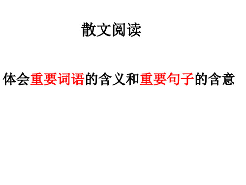 体会重要词语的含义和重要句子的含意