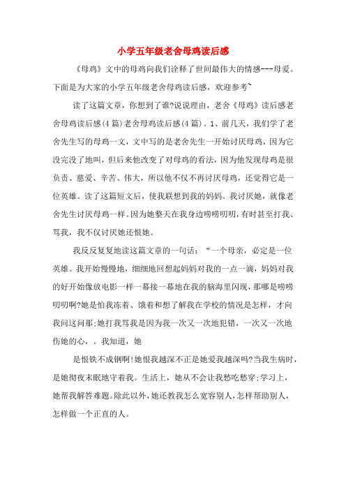 小学五年级老舍母鸡读后感