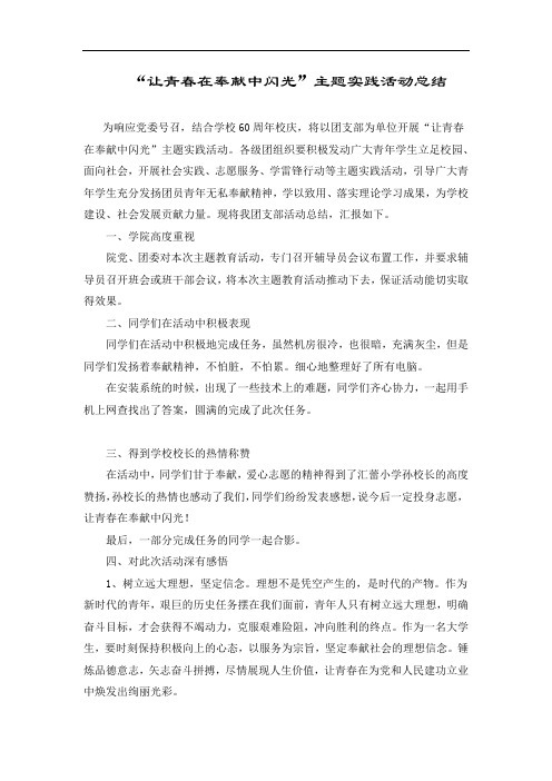 “让青春在奉献中闪光”主题团日活动总结 (1)