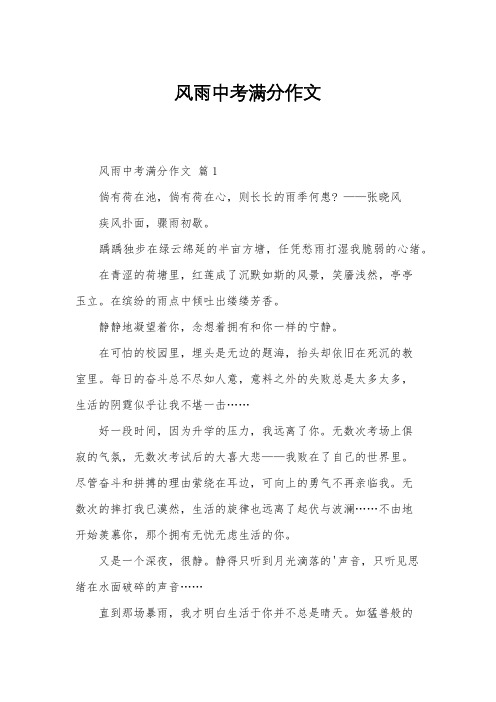 风雨中考满分作文