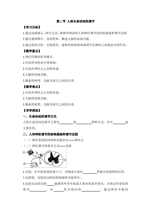 苏教版高中生物必修三《人体生命活动的调节》导学案-新版