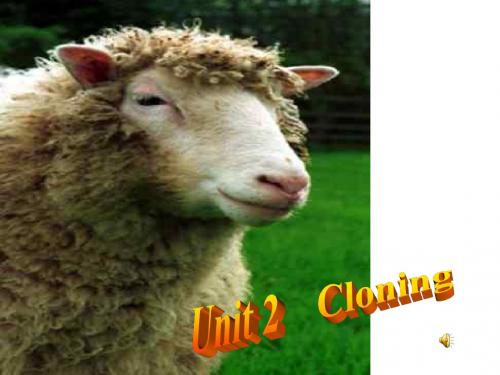 英语：unit2-《cloning》-reading课件(新人教版选修8)