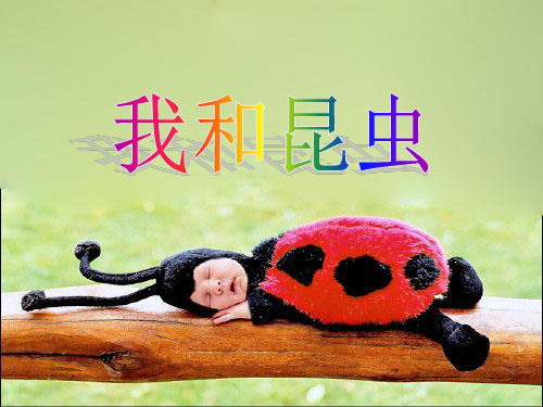 (完整版)《我和昆虫》课件3