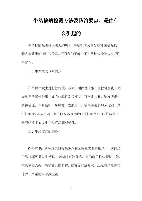 牛结核病检测方法及防治要点、是由什么引起的