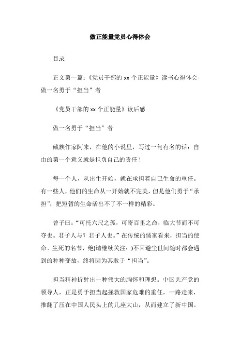 做正能量党员心得体会