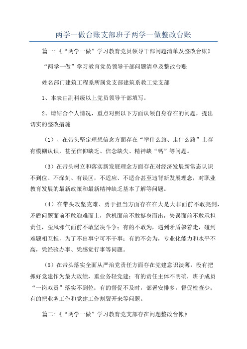 两学一做台账支部班子两学一做整改台账