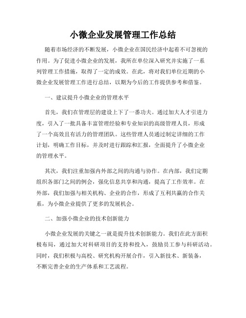 小微企业发展管理工作总结