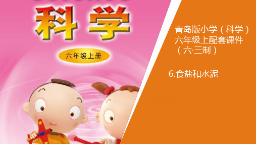 6新青岛版小学科学六年制六年级上册.《食盐和水泥》教学课件