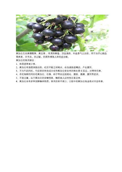 吃黑加仑的禁忌