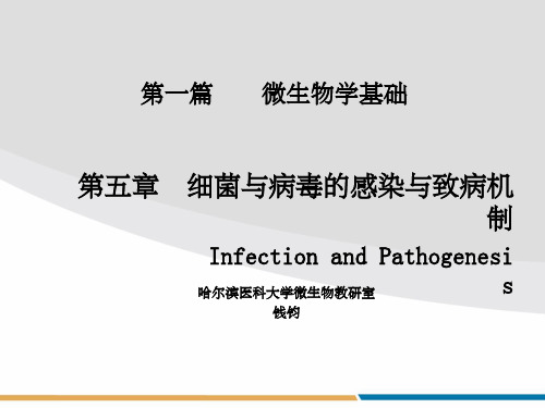 《感染与致病机制》PPT课件
