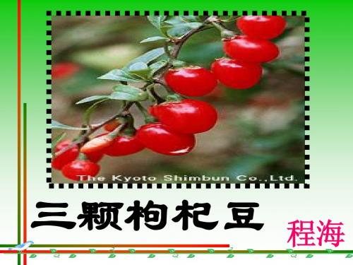 苏教版初中语文七年级下册《三颗枸杞豆》课件