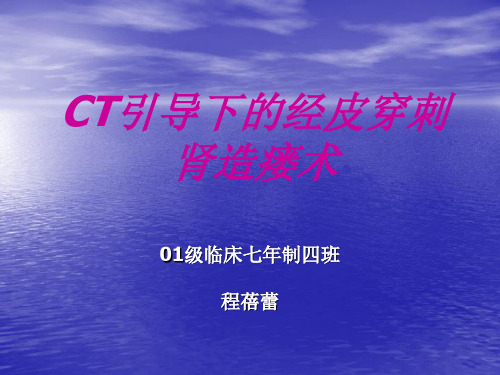 CT引导下的经皮穿刺肾造瘘术 PPT课件