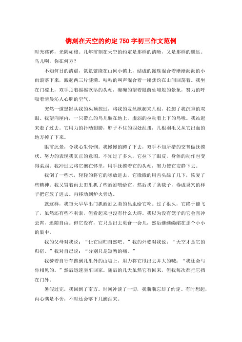 镌刻在天空的约定750字初三作文范例