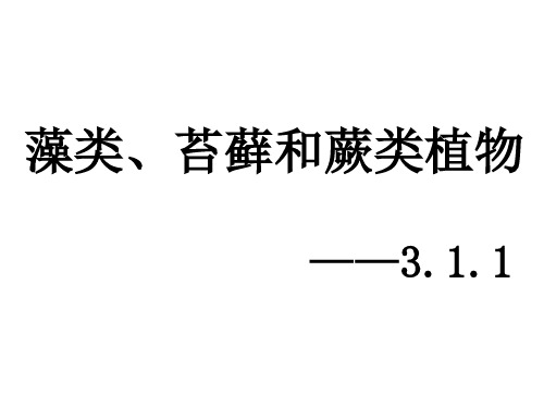 3.1.1 藻类、苔藓和蕨类植物(共37张PPT)