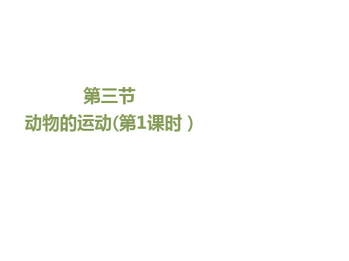 《动物的运动》课件(1)