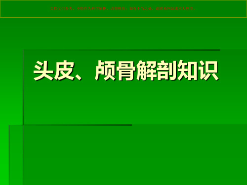 神经外科手术入路设计培训课件