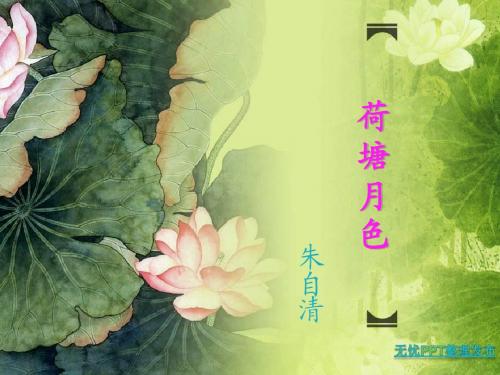荷塘春绿-植物