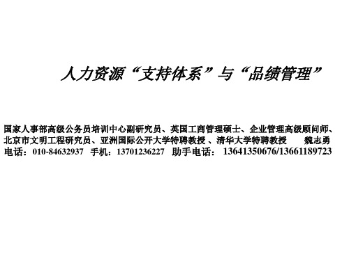 魏志勇支持体系品行管理图表-.ppt