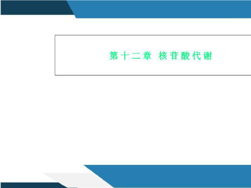 第十二章 核苷酸代谢