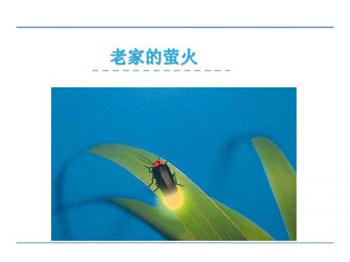 2016年五年级语文上册快乐读书屋六 老家的萤火(教科版)正式版