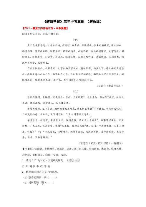 《醉翁亭记》三年中考真题(解析版)-2022年中考语文课内文言文知识点梳理+三年真题训练(部编版)