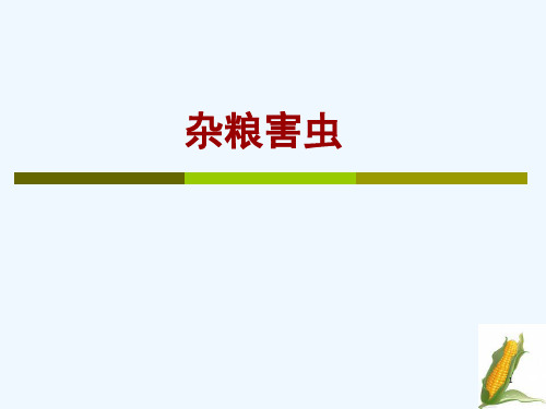 10农业害虫防治学-玉米害虫(有文字)