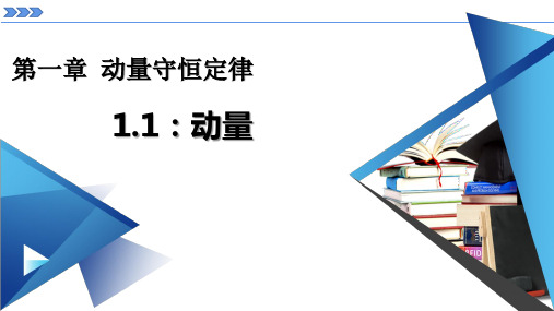 1.1 动量 课件(共24张PPT)