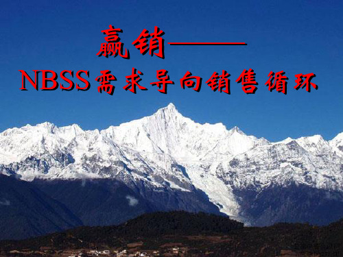 NBSS需求导向销售循环