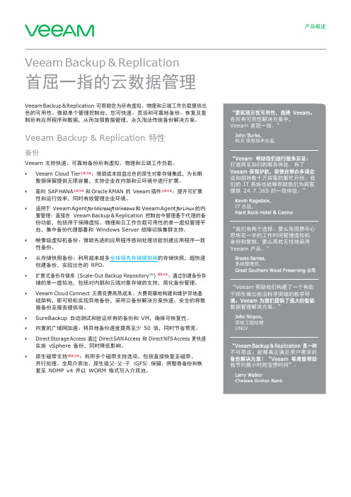 Veeam Backup数据管理方案白皮书